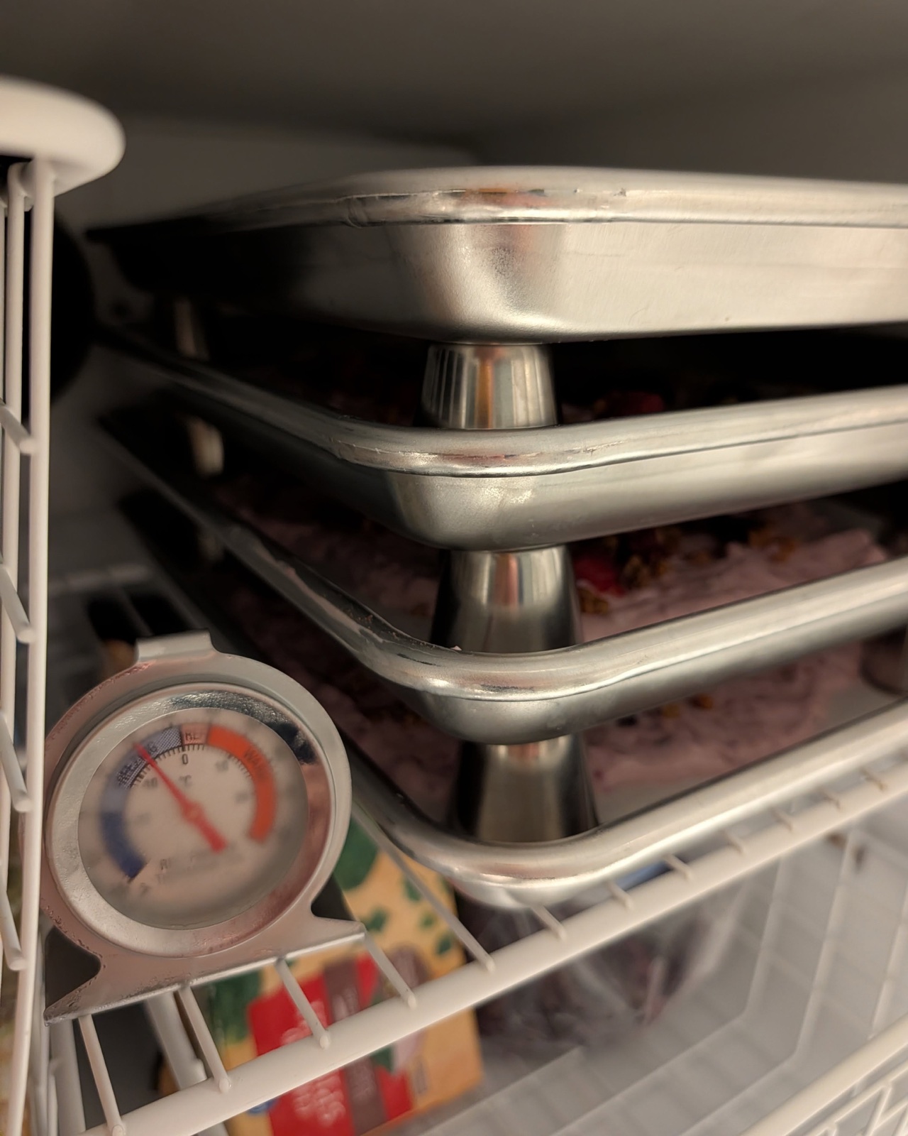 Close-up of four quarter sheet pans stacked on inverted stainless shot cups in a freezer, a dial thermometer clipped to the wire shelf in front