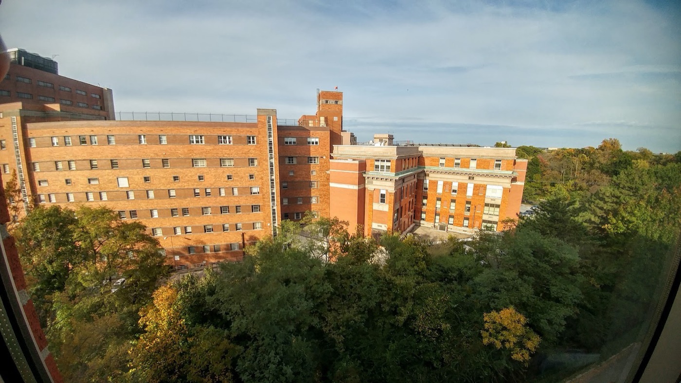 The view from Justin Sovine’s office window at Hebrew Union College: brick buildings rising over autumn trees